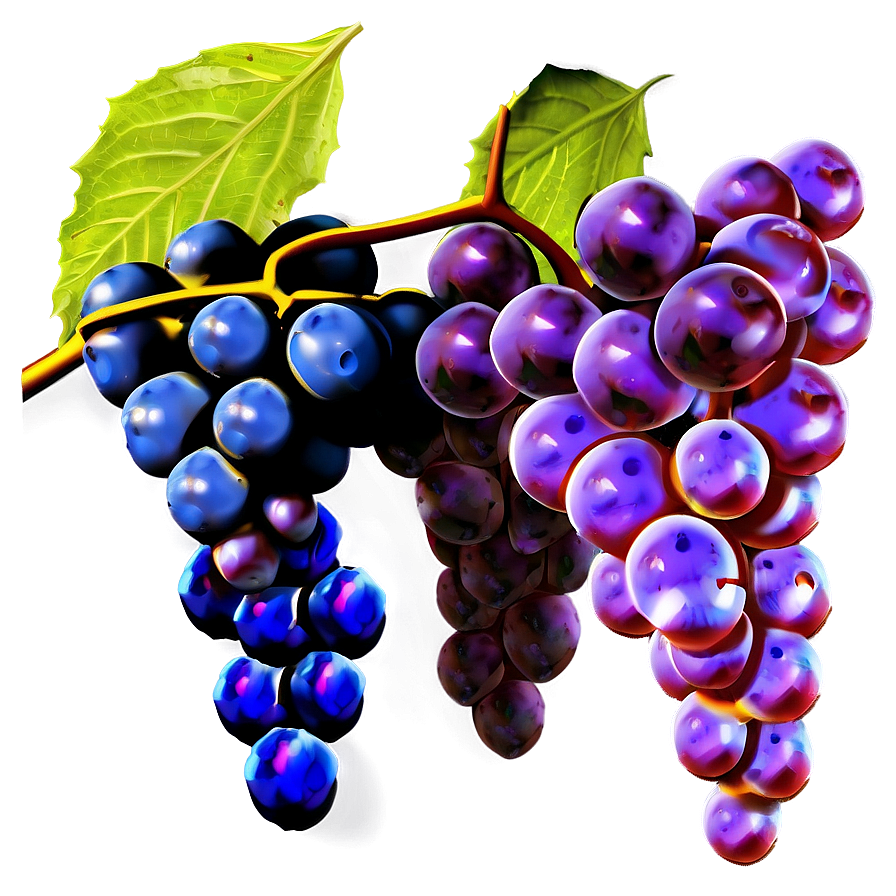 Grapes On Vine Png 62 PNG image