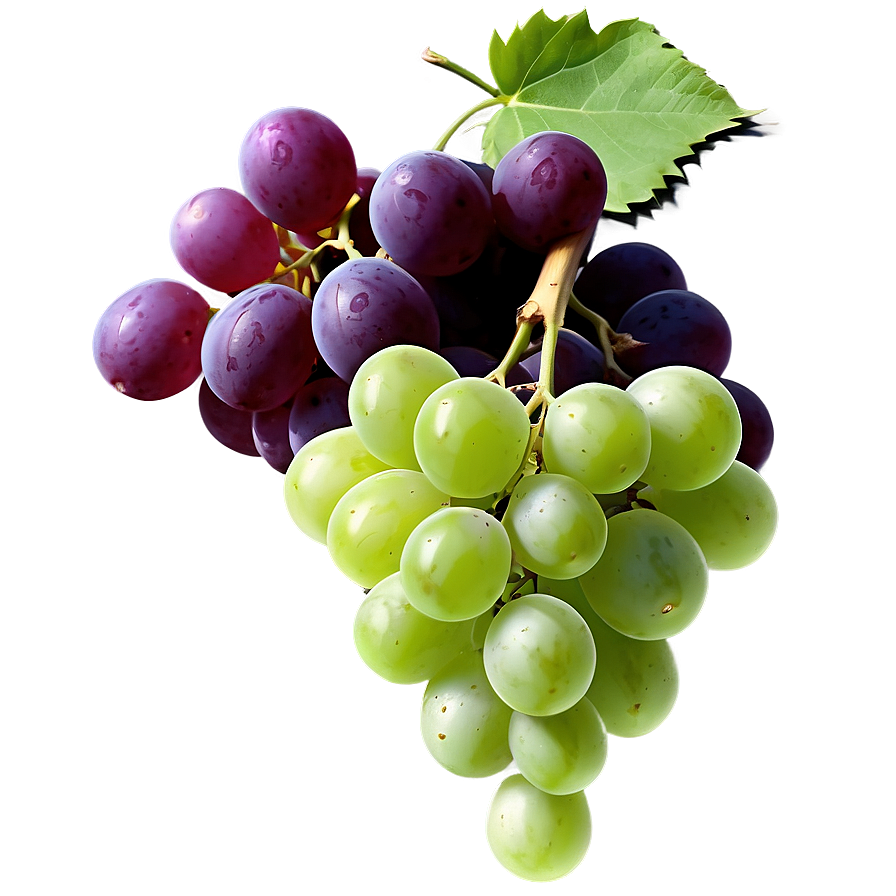 Grapes Png Images (300++)