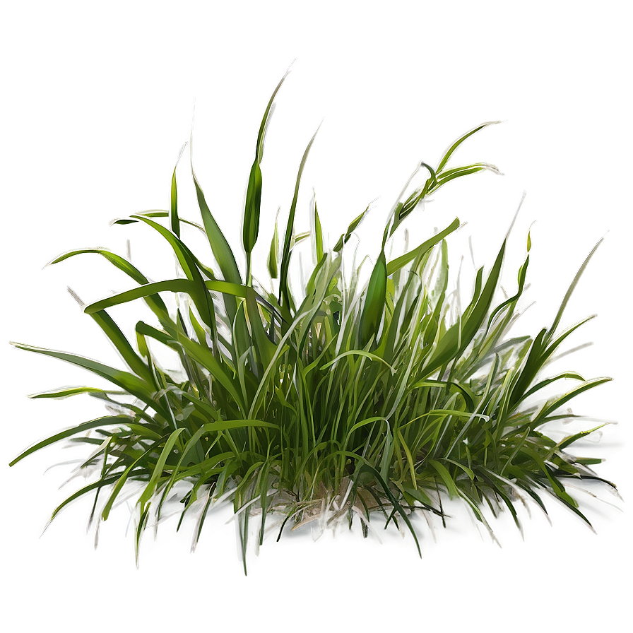 Grass Background Clipart Png Amm PNG image