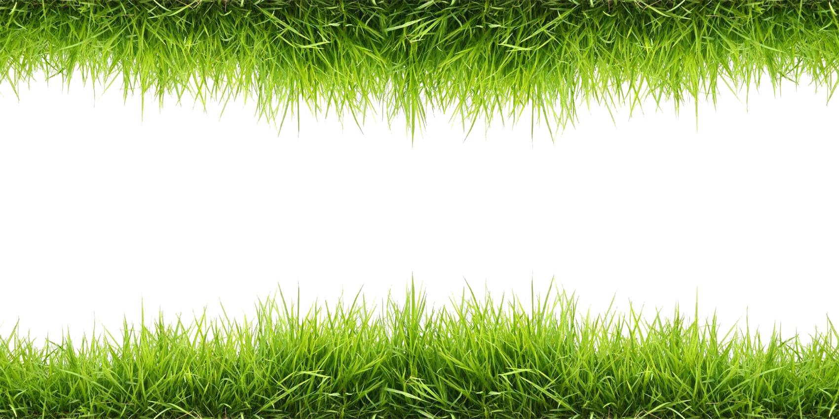 Grass_ Borders_on_ Gray_ Background.png PNG image