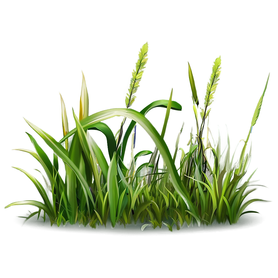 Grass Clipart Edition Png Tke PNG image