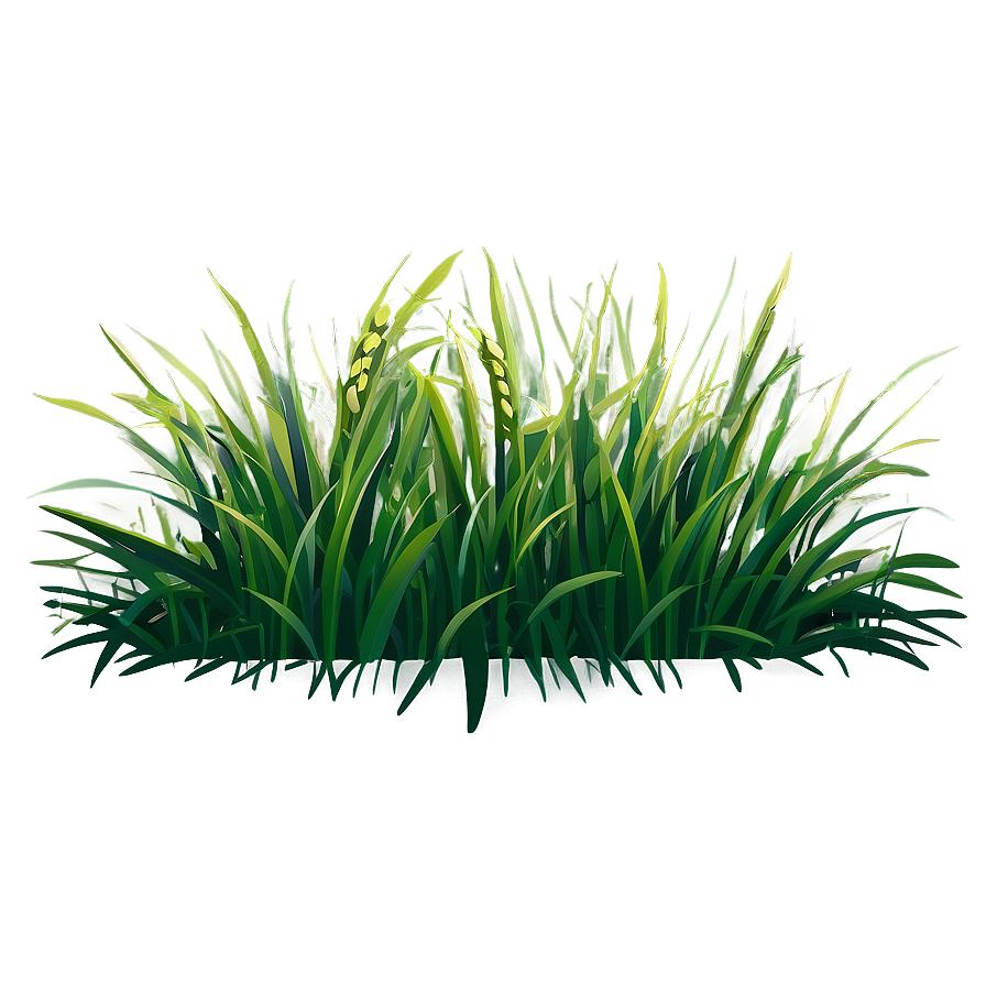 Grass Clipart Png 06272024 PNG image