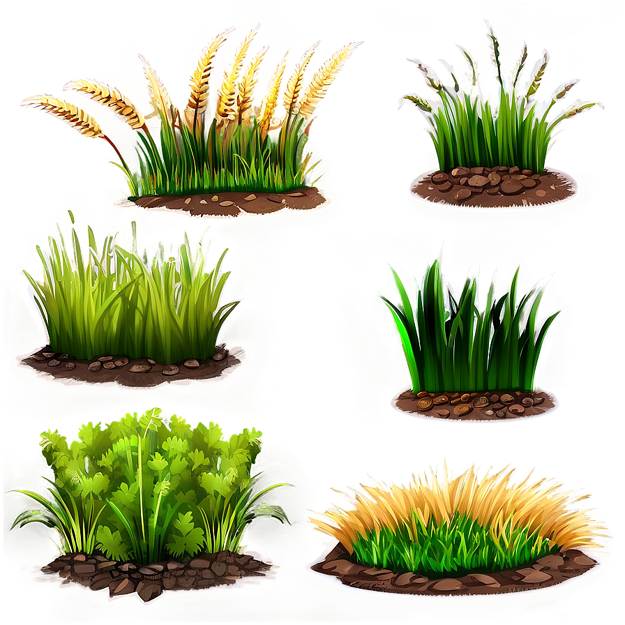 Grass Clipart Series Png Ijx9 PNG image