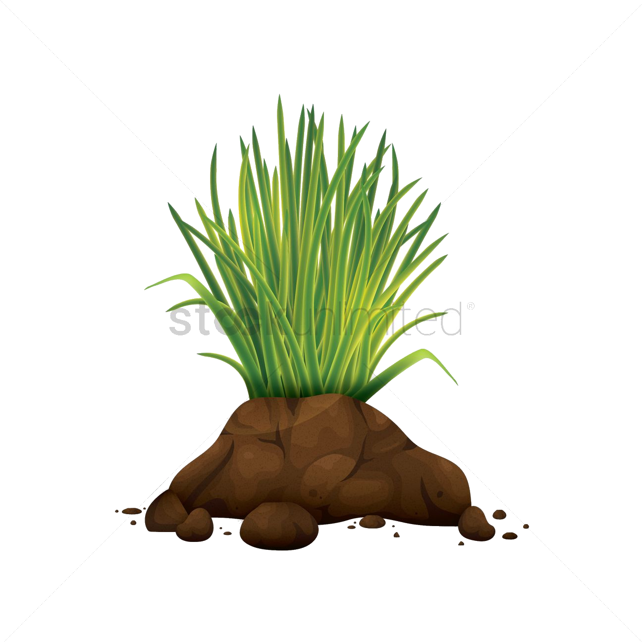 Grass Tufton Soil Mound PNG image