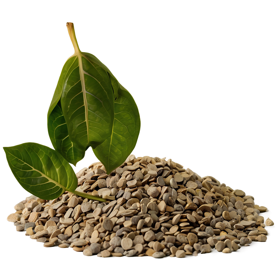 Gravel With Leaves Png Hxp PNG image