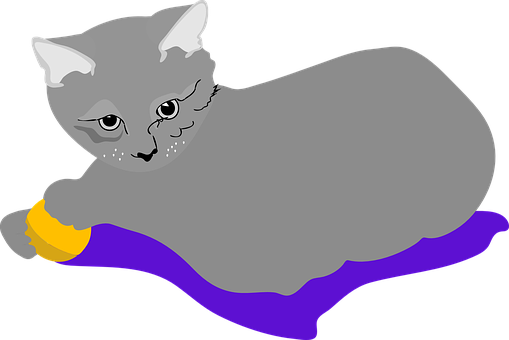 Gray Cat Playingwith Ball Illustration PNG image