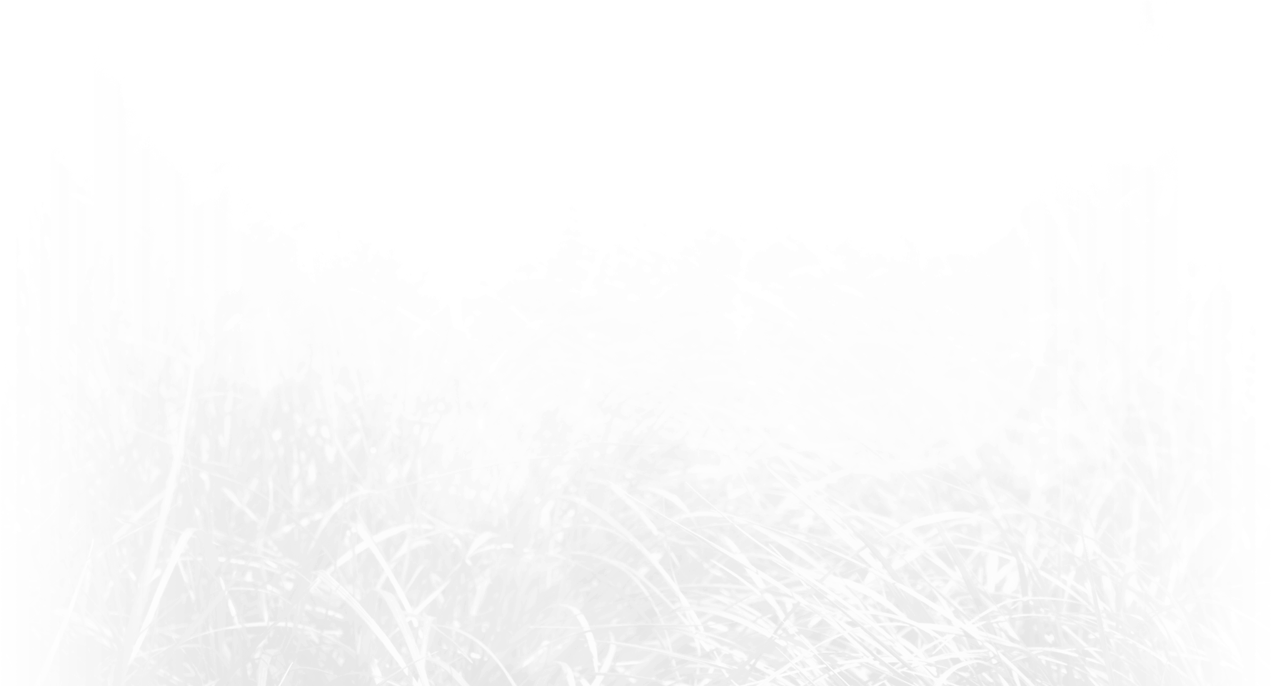 Grayscale Grass Field Texture PNG image