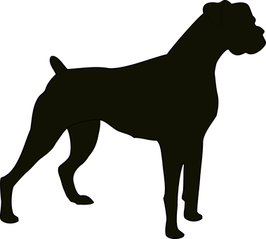 Great Dane Silhouette PNG image
