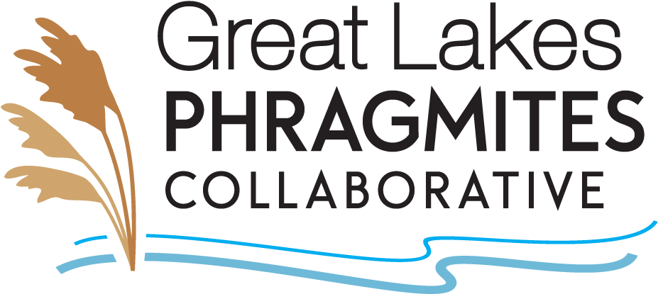 Great Lakes Phragmites Collaborative Logo PNG image