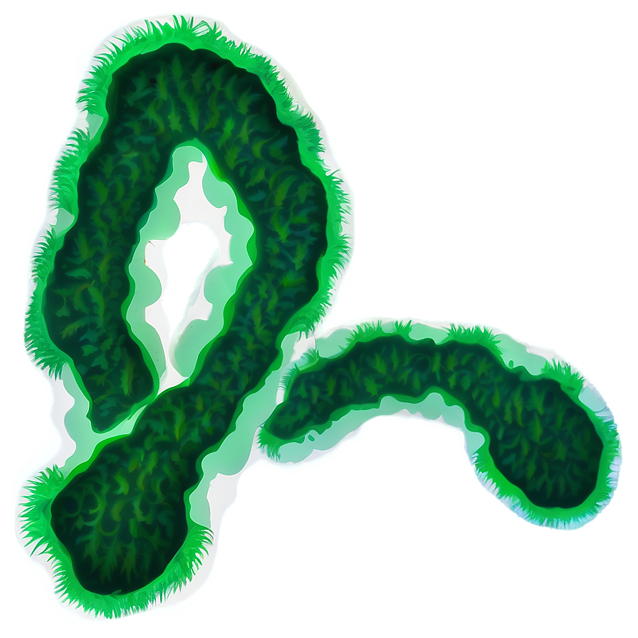 Green Algae Illustration Png 06212024 PNG image