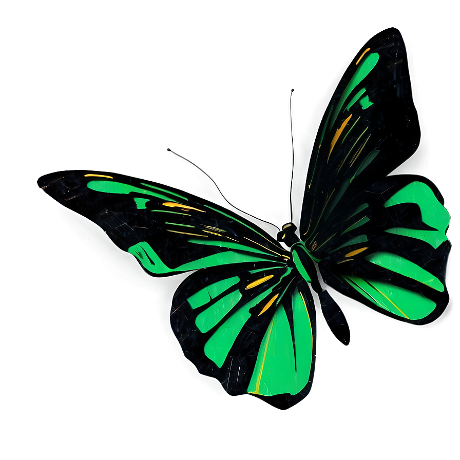 Green And Black Butterfly Design Png 06202024 PNG image