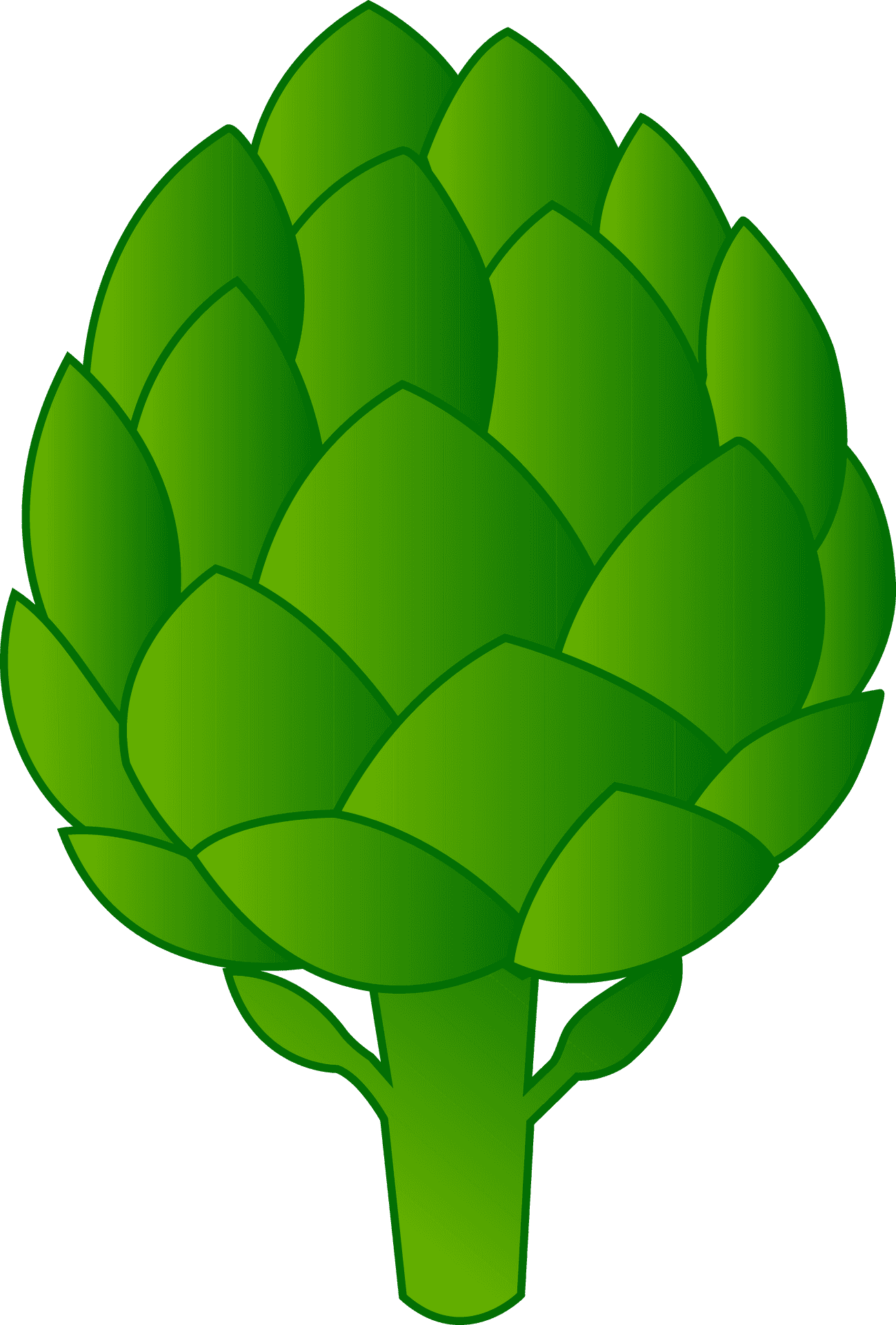 Green Artichoke Vector Illustration PNG image