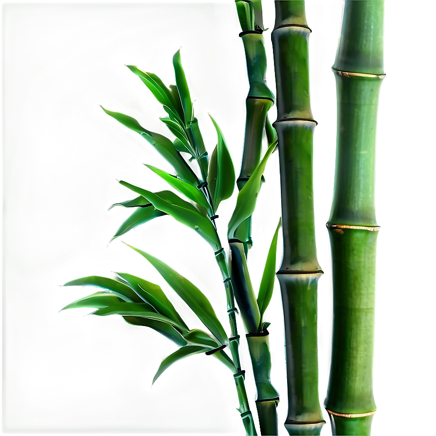 Green Bamboo Leaves Png 05232024 PNG image