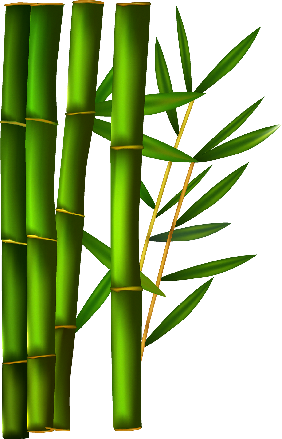 Green Bamboo Stalksand Leaves PNG image