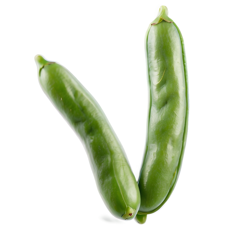 Green Bean Drawing Png 05242024 PNG image