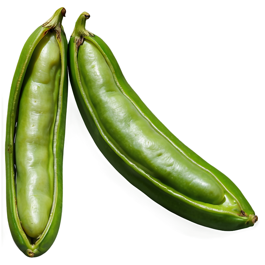 Green Bean Drawing Png Fkw5 PNG image