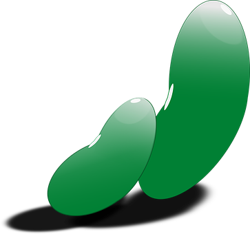 Green Beans Illustration PNG image