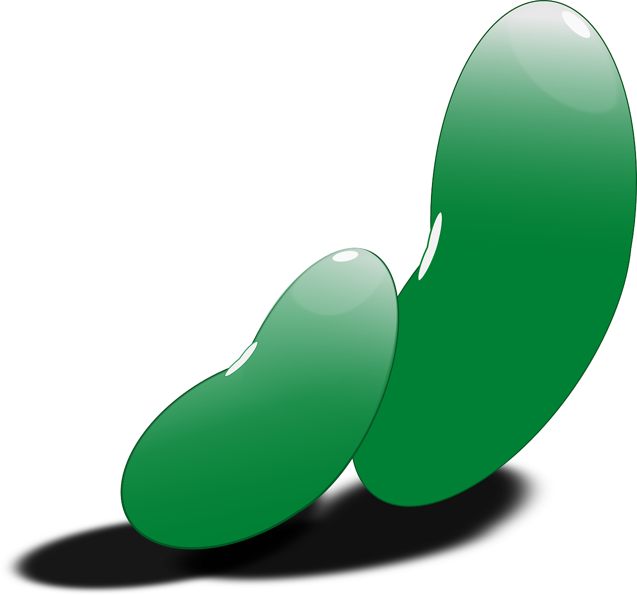 Green Beans Illustration PNG image