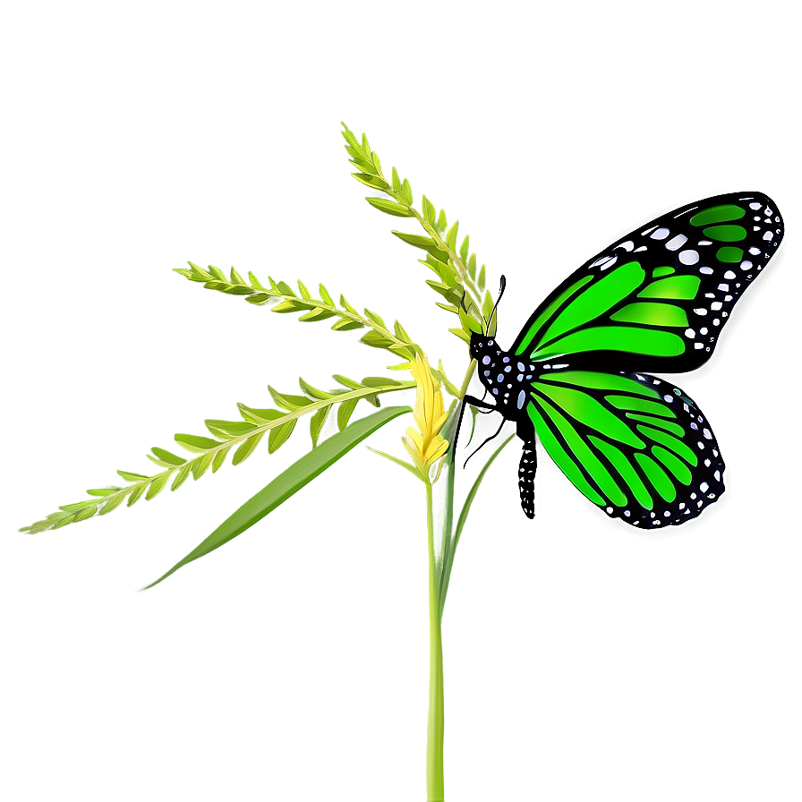 Green Butterfly In Grass Png Afv PNG image