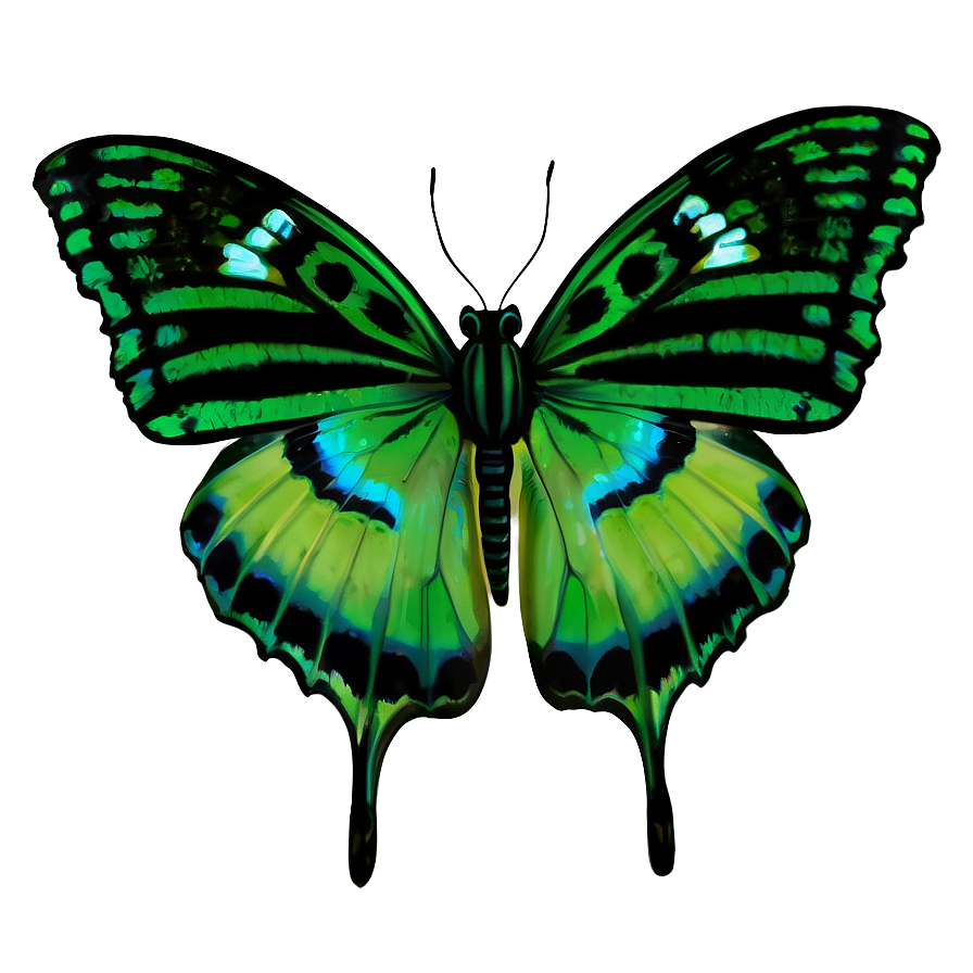 Green Butterfly In Nature Png Bwj PNG image