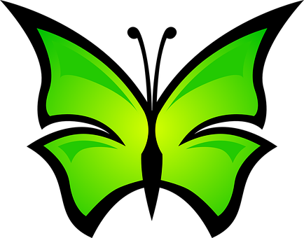 Green Butterfly Logo Design PNG image
