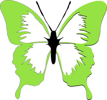 Green Butterfly Silhouette Faces PNG image
