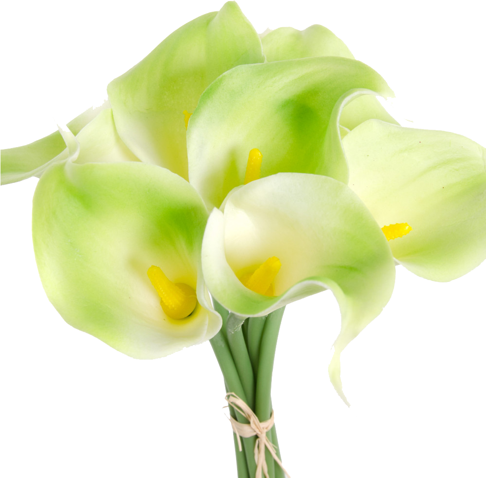 Green Calla Lilies Bouquet PNG image