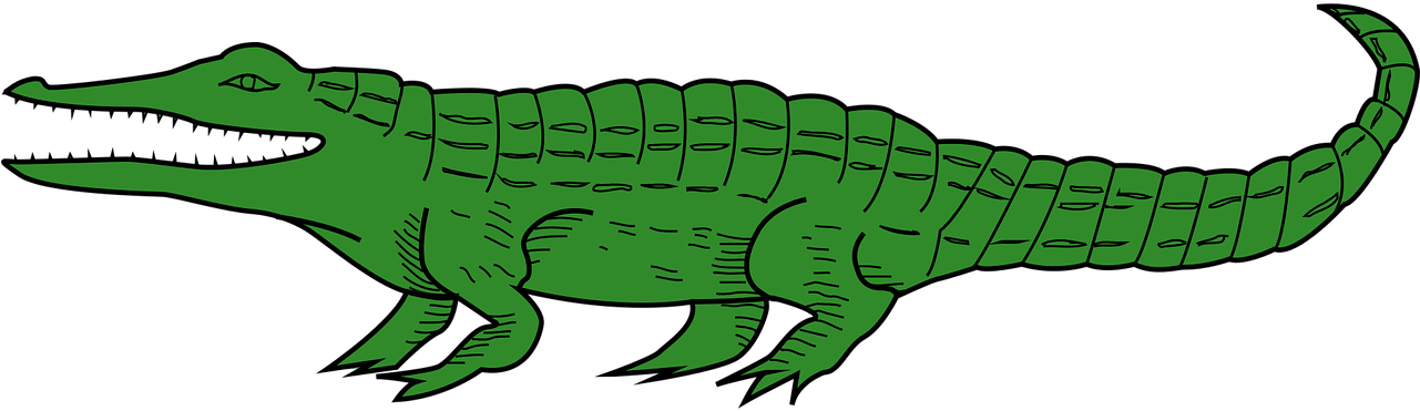 Green Cartoon Crocodile PNG image