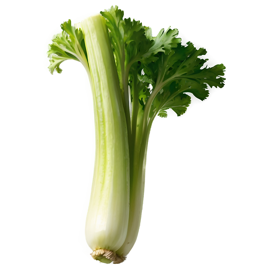 Green Celery Png Alb PNG image