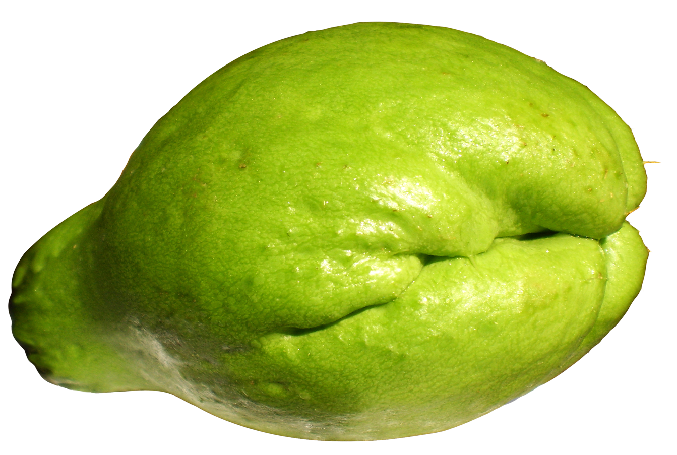 Green Citrus Fruit Texture PNG image