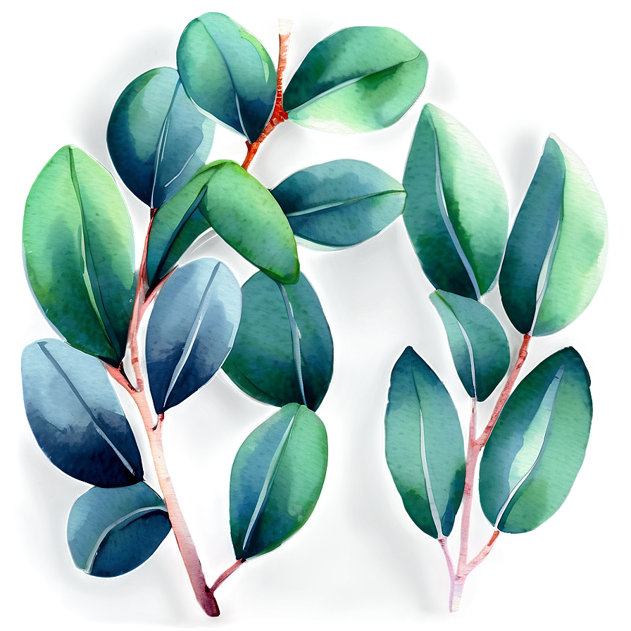 Green Eucalyptus Watercolor Illustration Png 06272024 PNG image