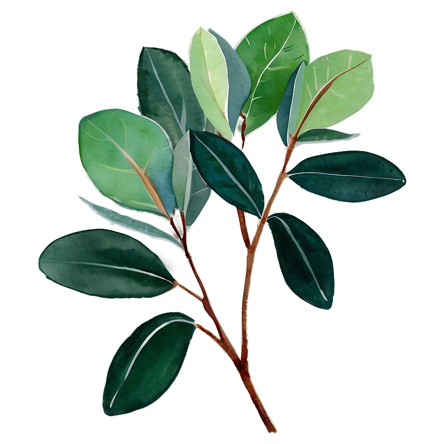 Green Eucalyptus Watercolor Illustration Png Iyo PNG image