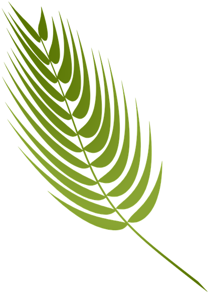 Green Fern Leaf Graphic PNG image