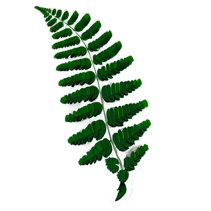 Green Fern Leaf Graphic Png Dcy PNG image