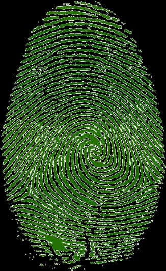 Green Fingerprint Pattern PNG image