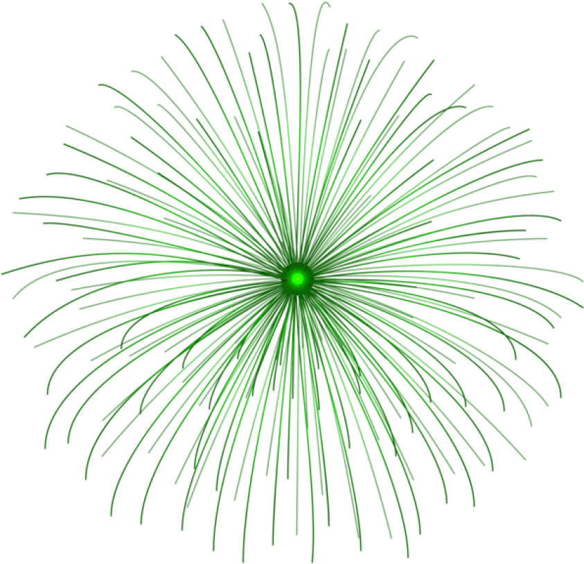 Green Firework Explosion Graphic PNG image