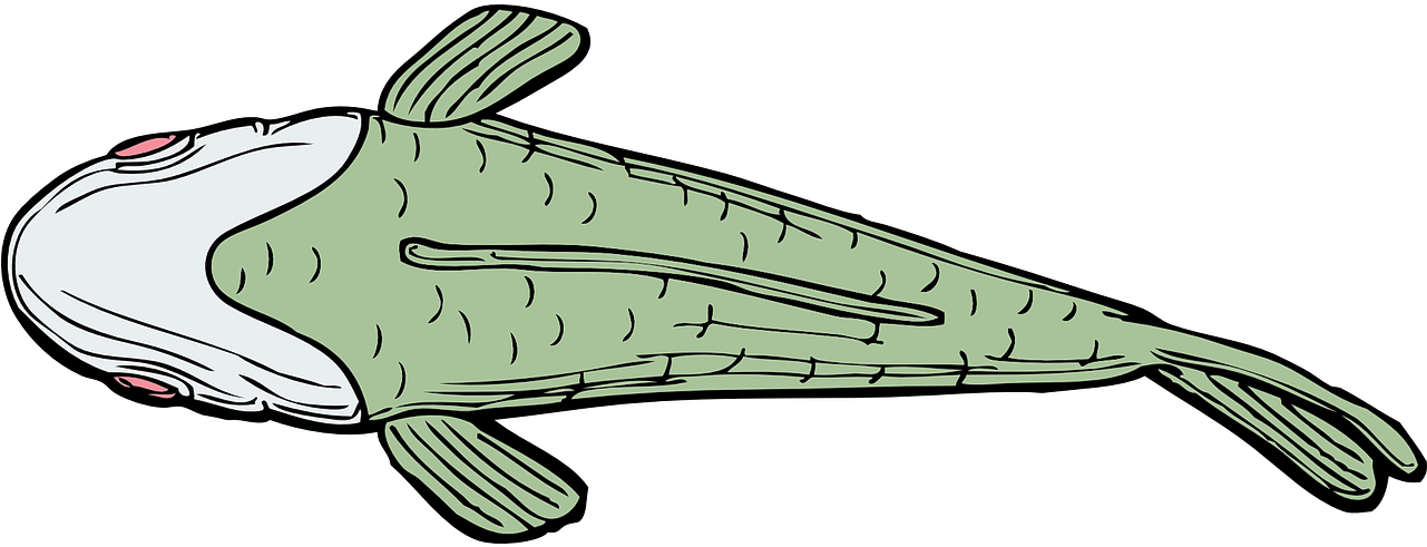 Green Fish Cartoon Illustration PNG image