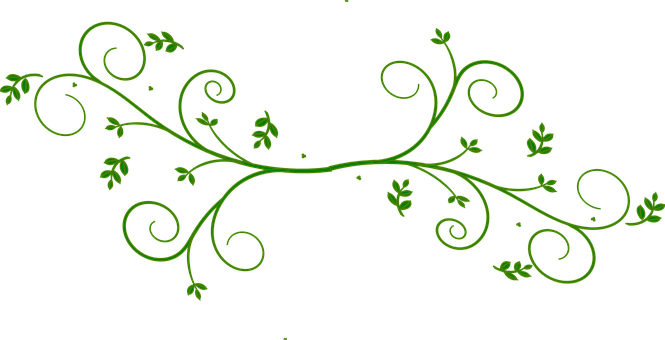 Green Floral Designon Black Background PNG image