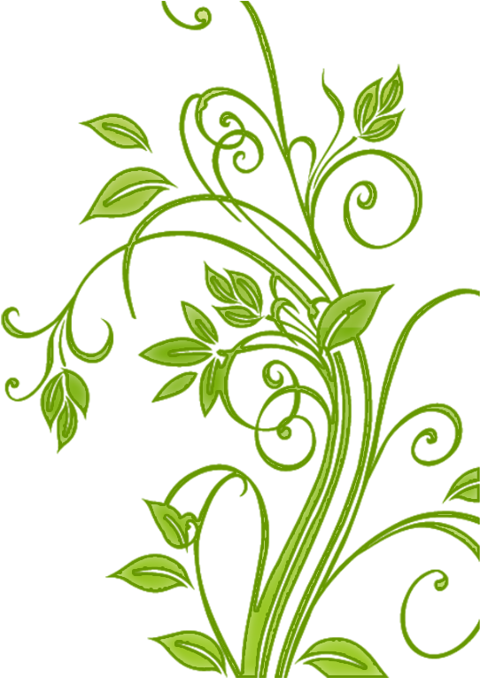 Green Floral Vector Art PNG image