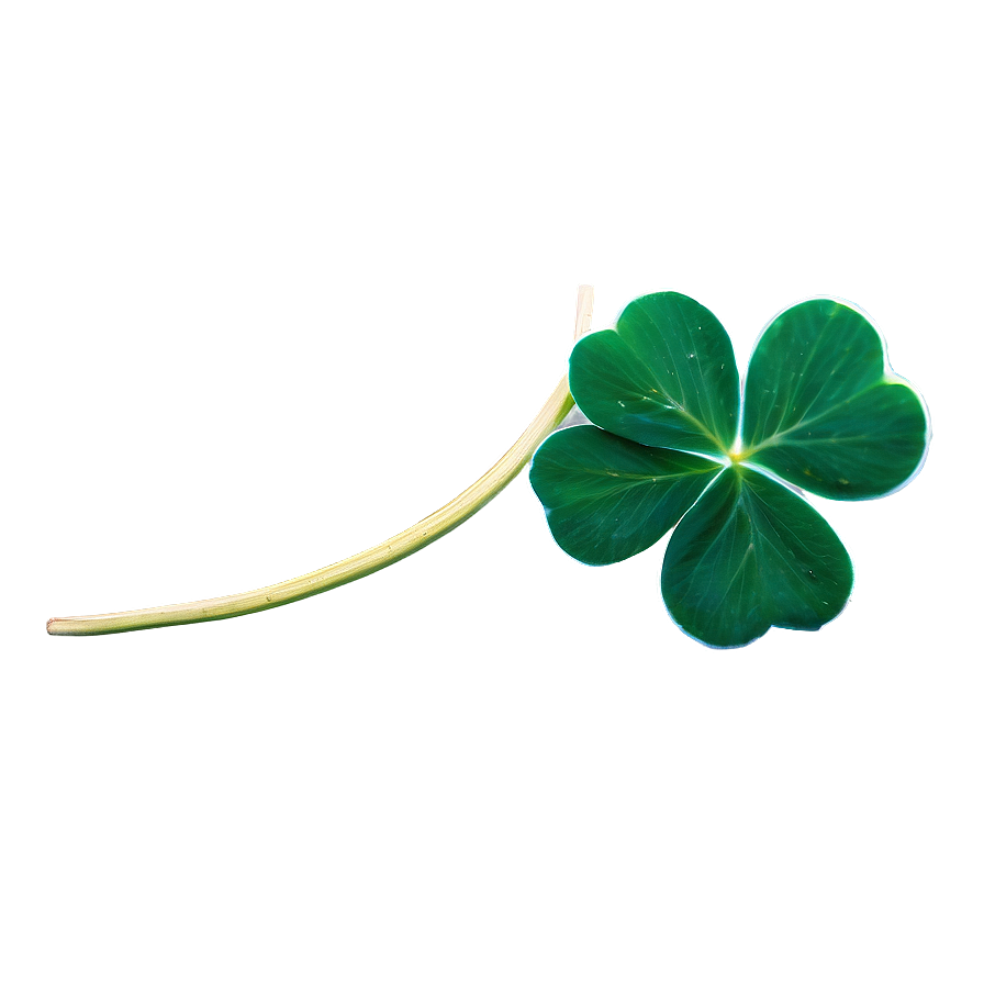 Green Four Leaf Clover Png 05252024 PNG image