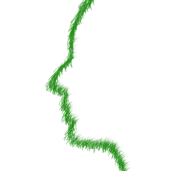 Green Fractal Silhouette PNG image