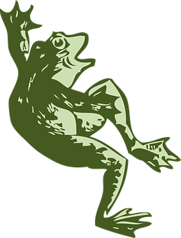 Green Frog Illustration PNG image