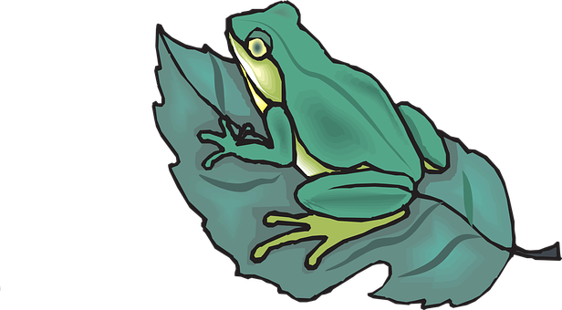 Green Frog On Leaf Illustration PNG image