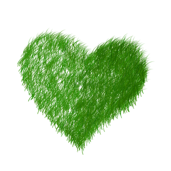Green Furry Heart Graphic PNG image