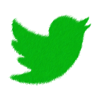 Green Fuzzy Twitter Bird Logo PNG image