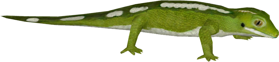 Green Gecko Illustration PNG image