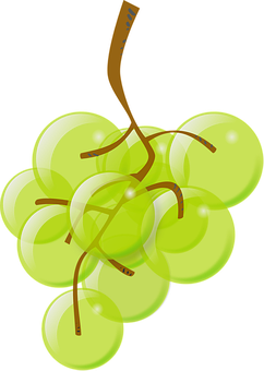 Green Grapes Cluster Illustration PNG image