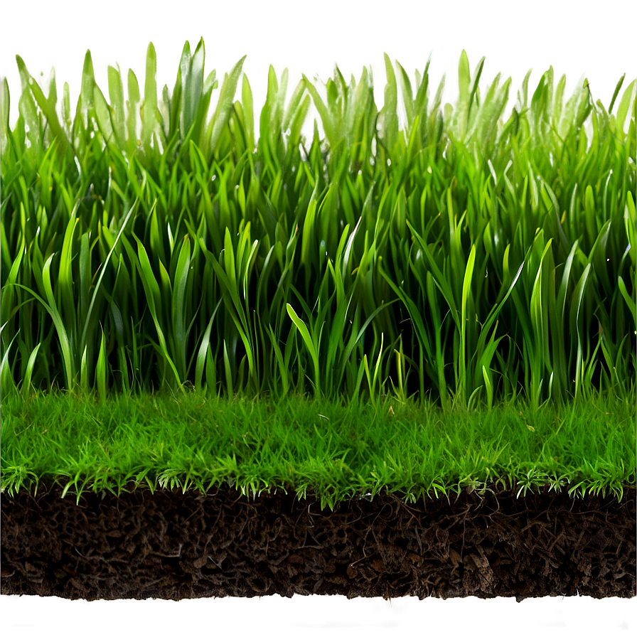 Green Grass For Landscaping Png 06262024 PNG image