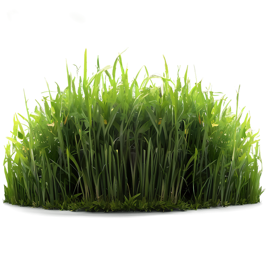 Green Grass For Sports Field Png Owc PNG image