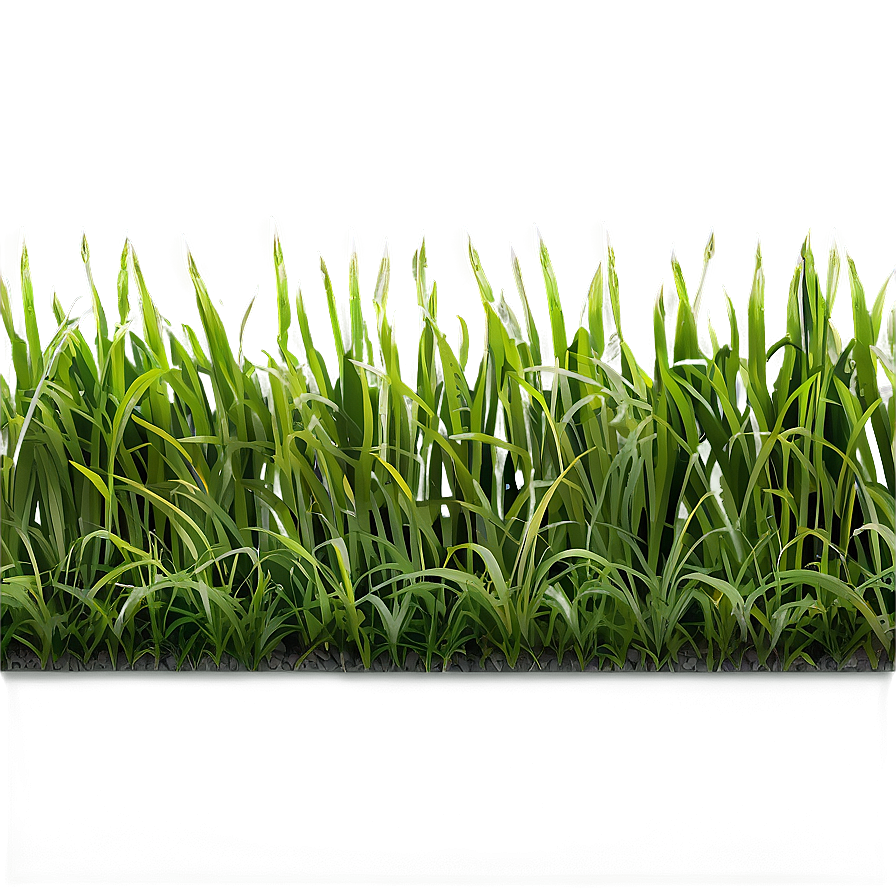 Green Grass Patch Png 06262024 PNG image